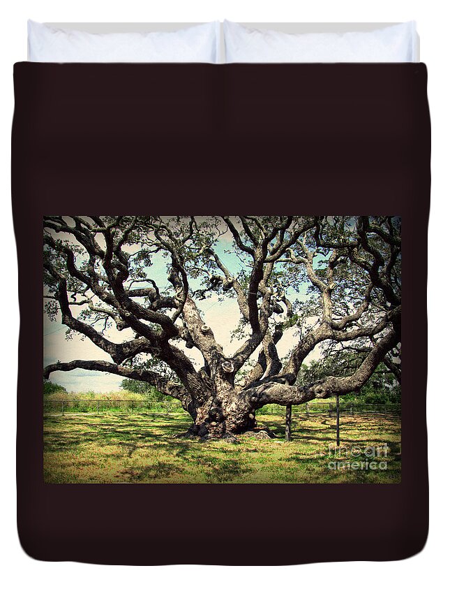 Live Oak Tree Duvet Cover featuring the photograph Millennium Live Oak - Big Tree at Goose Island by Ella Kaye Dickey