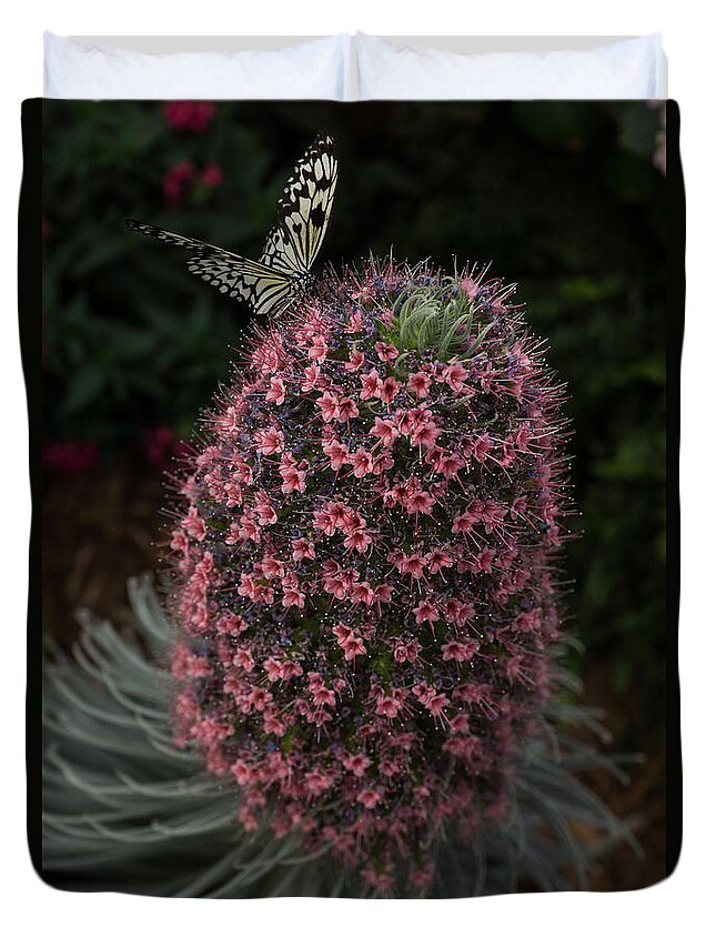 Flower Duvet Cover featuring the photograph Millions of Tiny Flowers Plus a Butterfly by Georgia Mizuleva