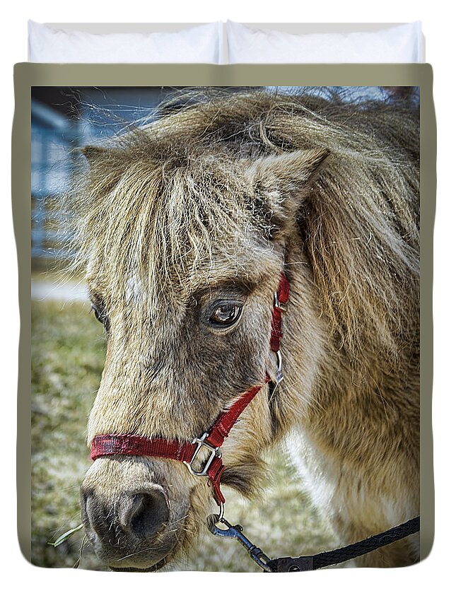 Horse Duvet Cover featuring the photograph Minature Horse by LeeAnn McLaneGoetz McLaneGoetzStudioLLCcom