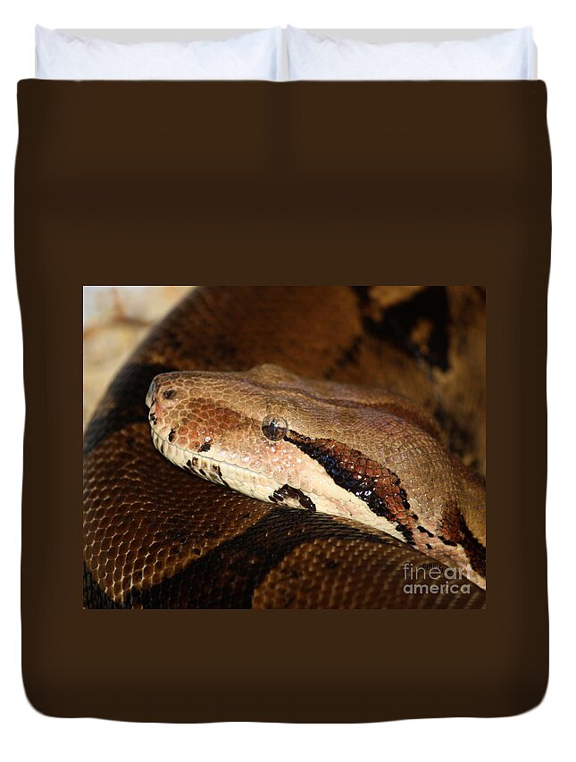 Snake Duvet Cover featuring the photograph Mindfully Watching by Patrick Witz