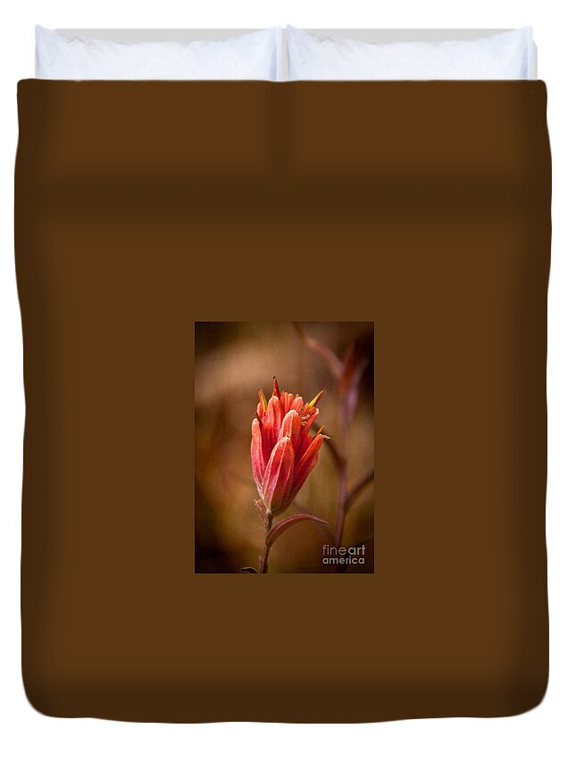 Nature Duvet Cover featuring the photograph Miniature Indian Paintbrush by Steven Reed