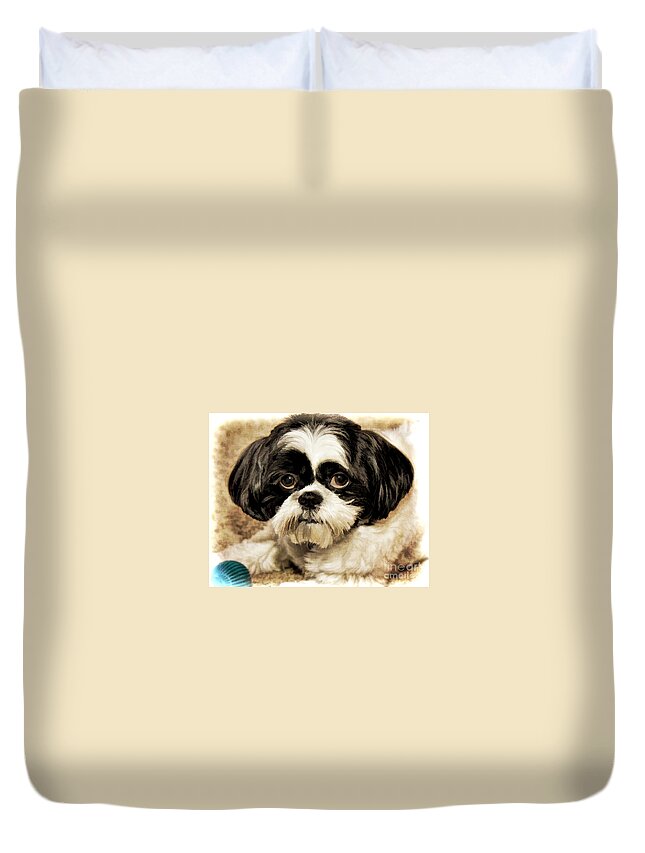 Dogs Duvet Cover featuring the photograph Miss Mini by Pam Holdsworth