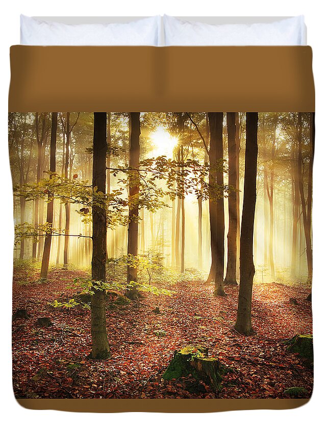 Environmental Conservation Duvet Cover featuring the photograph Misty Forest During Autumn by Konradlew