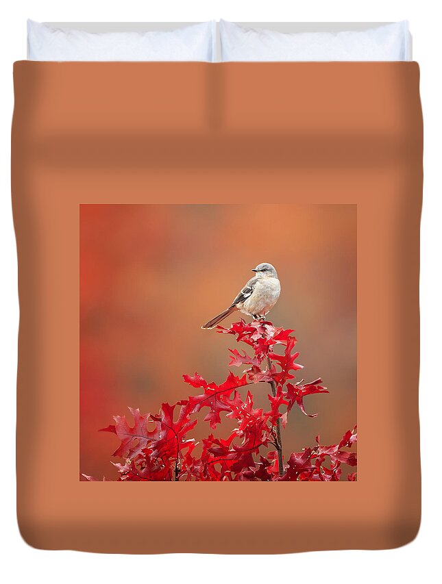 Square Duvet Cover featuring the photograph Mockingbird Autumn Square by Bill Wakeley