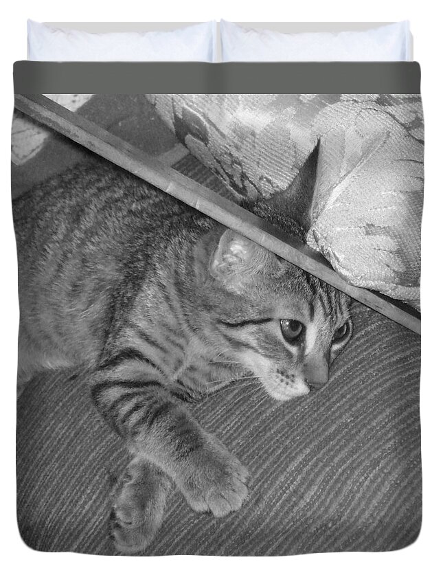 Kitten Duvet Cover featuring the photograph Model Kitten by Pharris Art