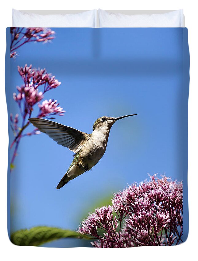 Hummingbird Duvet Cover featuring the photograph Modern Beauty by Christina Rollo