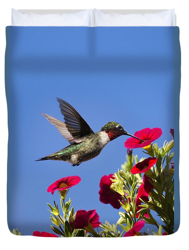 Hummingbird Duvet Cover featuring the photograph Moments of Joy by Christina Rollo