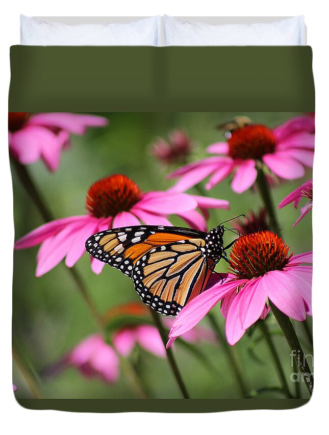 Monarch Duvet Cover featuring the photograph Monarch and Conflowers by Karen Adams