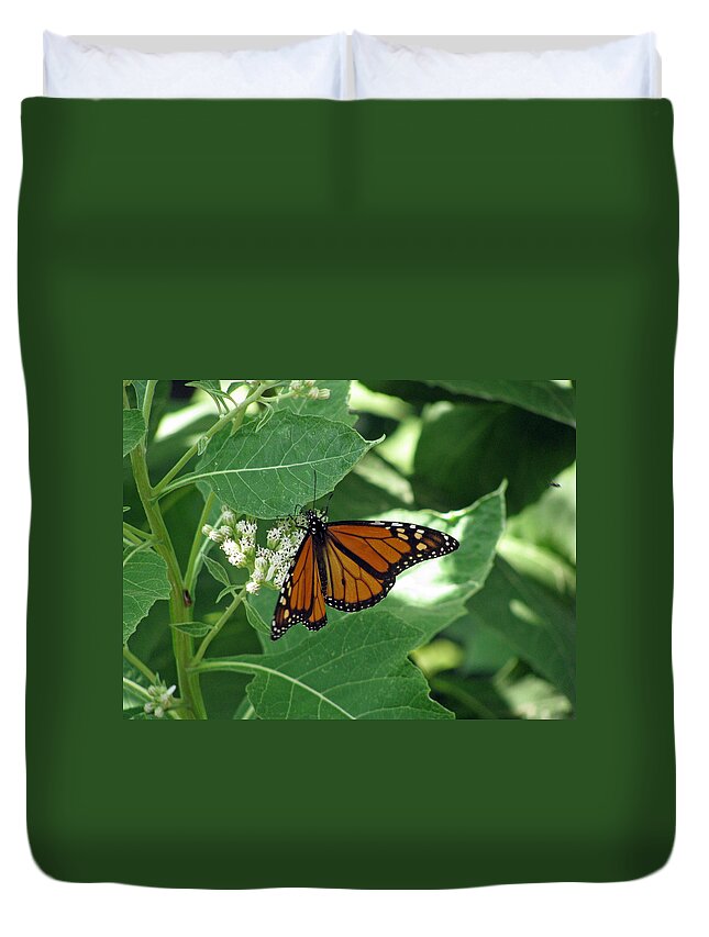 Butterfly Duvet Cover featuring the photograph Monarch Butterfly 41 by Pamela Critchlow