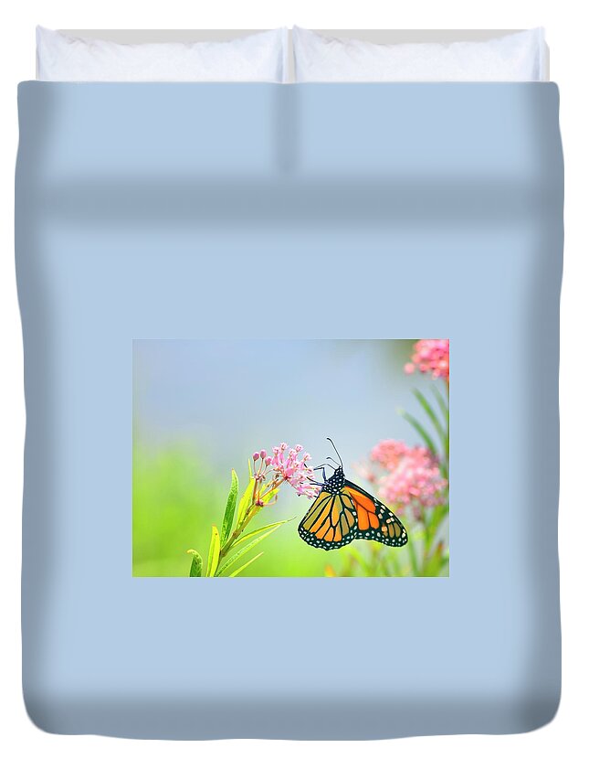 Insect Duvet Cover featuring the photograph Monarch Butterfly Feeding On Joe Pye by Joesboy