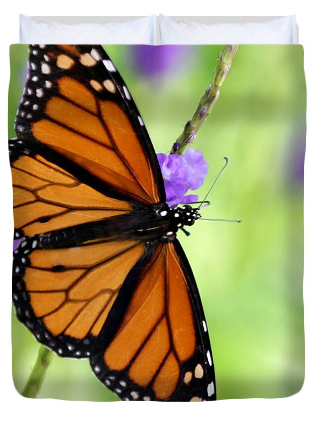 Macro Duvet Cover featuring the photograph Monarch Butterfly in Spring by Sabrina L Ryan