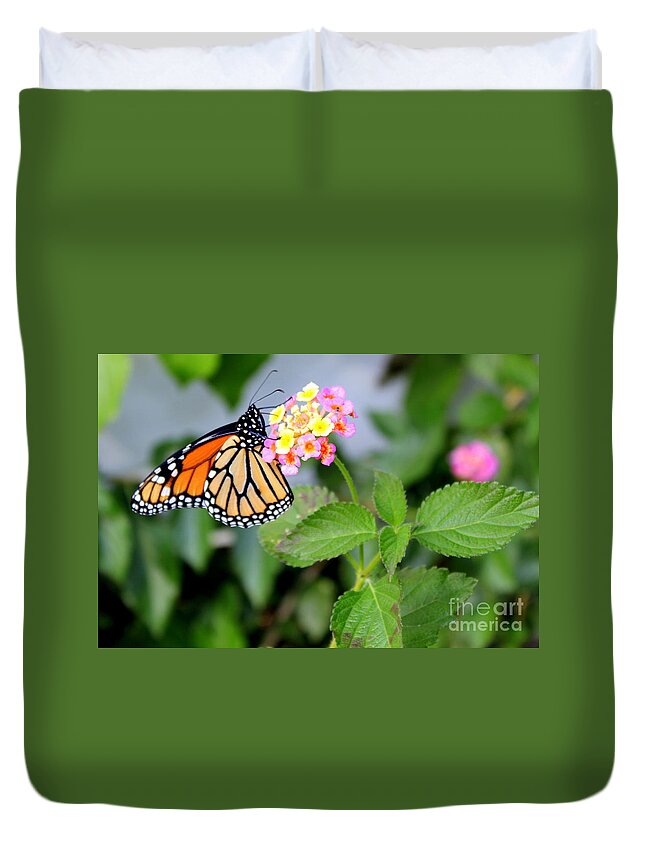 Monarch Butterfly Duvet Cover featuring the photograph Monarch Butterfly on a Flower by Kathy White