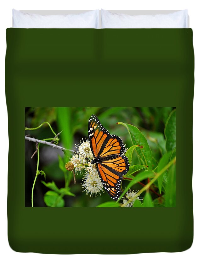 Monarch Butterfly Duvet Cover featuring the photograph Monarch Butterfly by Stacy Abbott
