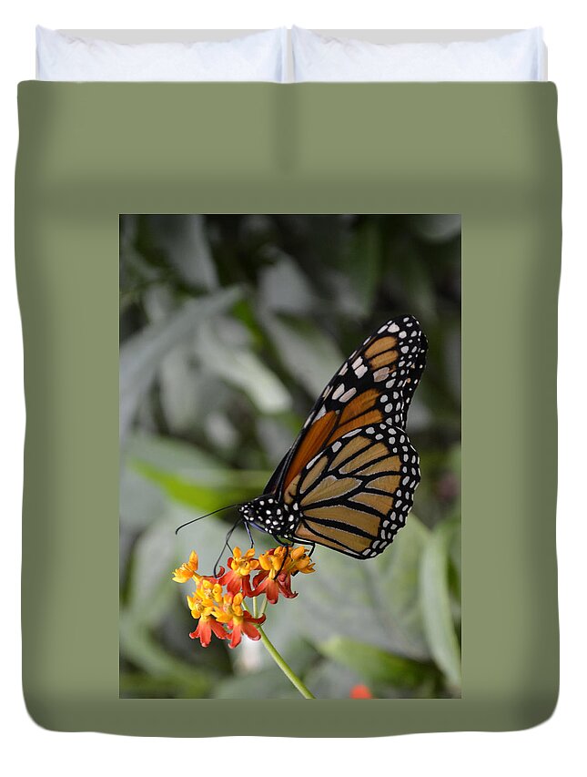 Monarch Duvet Cover featuring the photograph Monarch by Spikey Mouse Photography