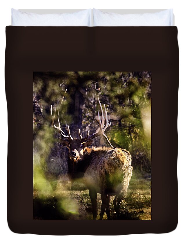 Royal Bull Elk Duvet Cover featuring the photograph Monarch Through the Leaves by Michael Dougherty