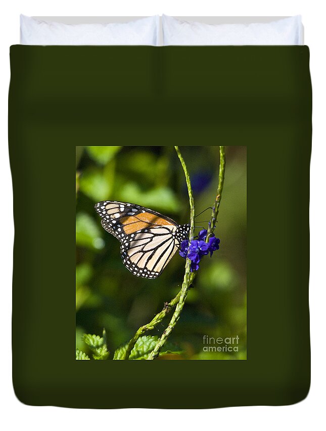 Monark Butterfly Duvet Cover featuring the photograph Monark Butterfly No.1 by John Greco