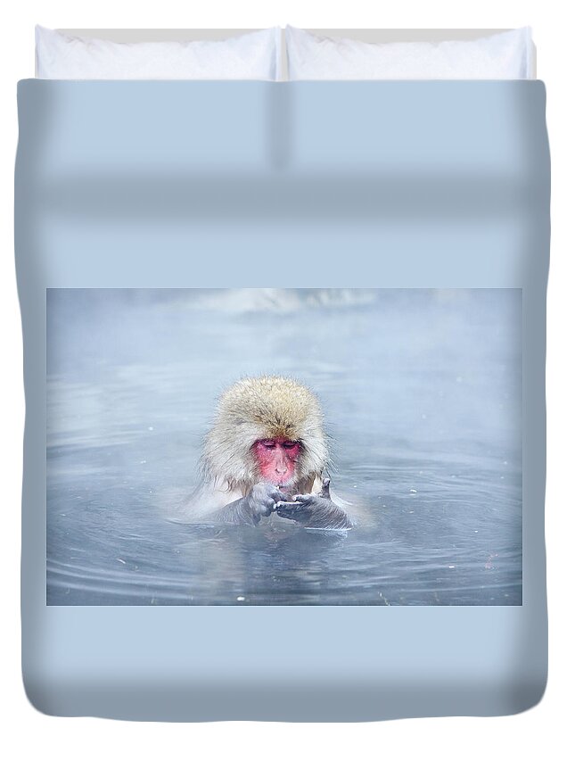 Standing Water Duvet Cover featuring the photograph Monkey Park II by Sergio Formoso