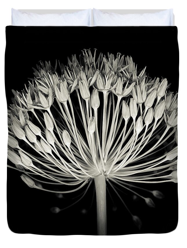 Black Color Duvet Cover featuring the photograph Monochrome Allium Flower Head by Ogphoto