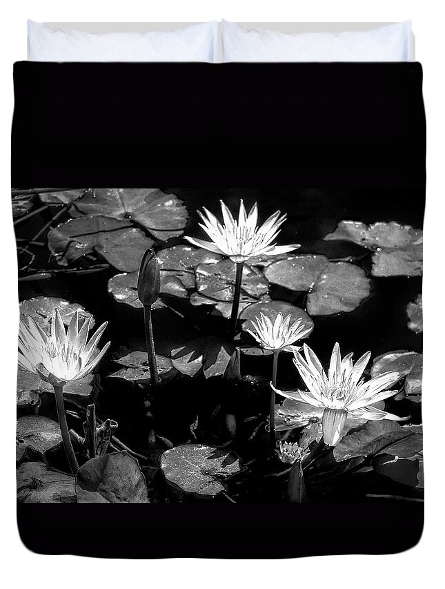 Black And White Duvet Cover featuring the photograph Moonlit Lotus by Dominic Piperata