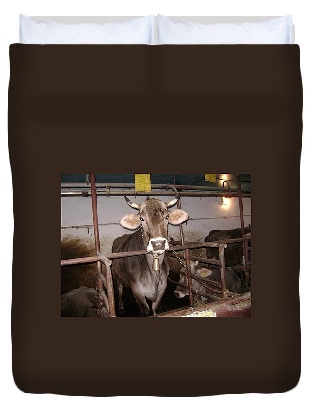 Animals Duvet Cover featuring the photograph Mooooo by Moshe Harboun