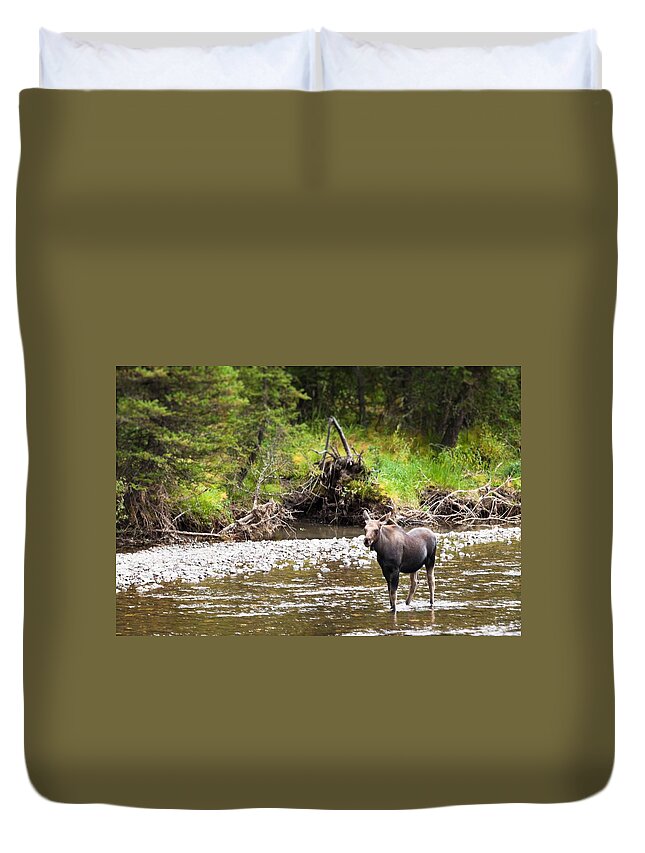 Wyoming Duvet Cover featuring the photograph Moose in Yellowstone National Park  by Lars Lentz