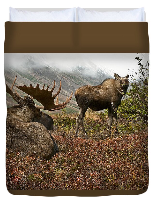 Moose Duvet Cover featuring the photograph Moose Pair on Anchorage Hillside by Eberhard Brunner