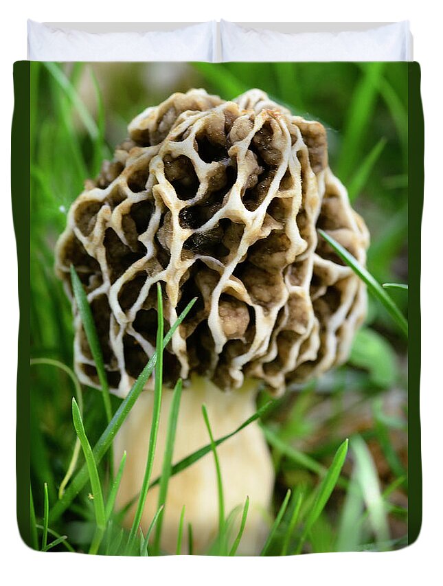 Mushroom Duvet Cover featuring the photograph Morel by Crystal Wightman