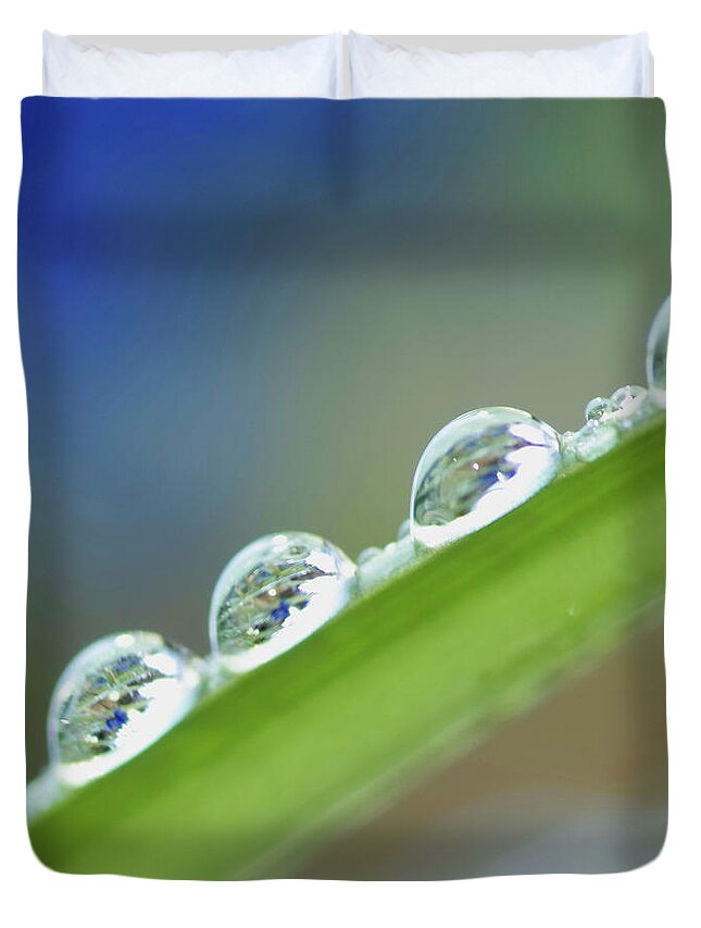Drop Duvet Cover featuring the photograph Morning dew drops by Heiko Koehrer-Wagner