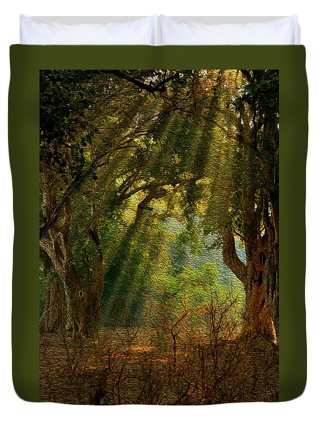 Light Duvet Cover featuring the photograph Morning Glory by Manjot Singh Sachdeva