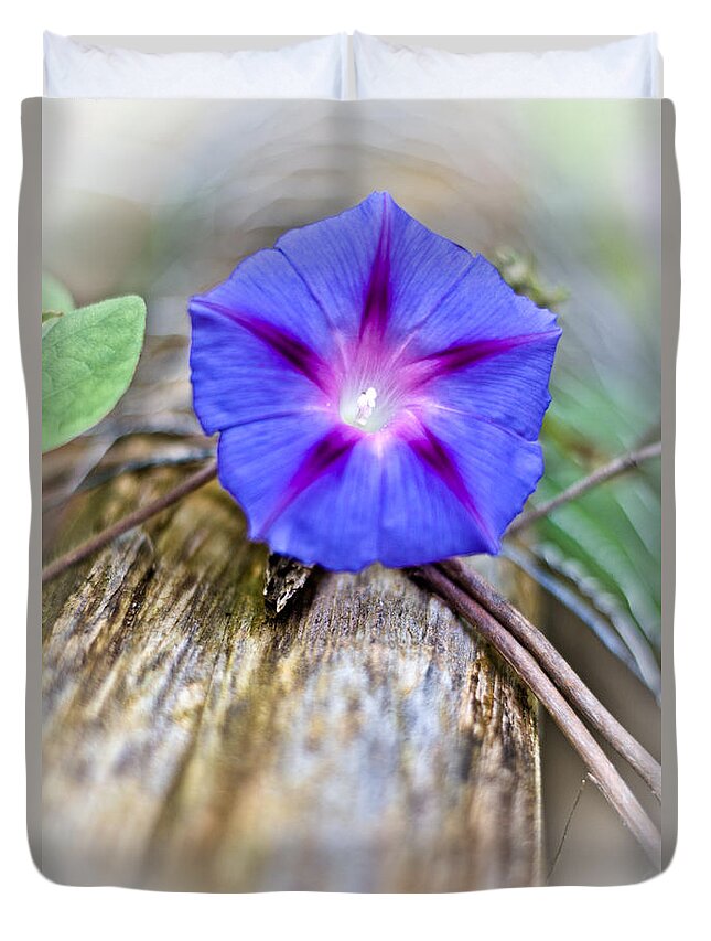  Duvet Cover featuring the photograph Morning Glory on the fence by Cheryl Baxter