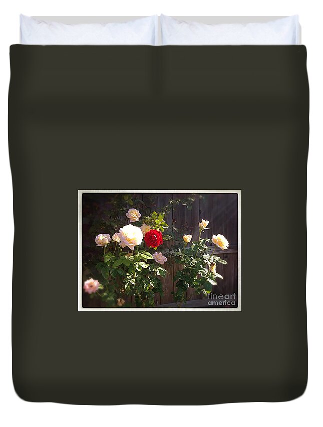 Roses Duvet Cover featuring the photograph Morning Glory by Vonda Lawson-Rosa