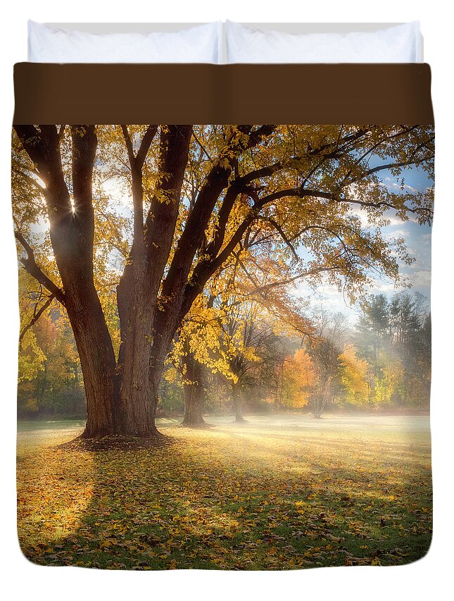 Shadow Duvet Cover featuring the photograph Morning Shadows Square by Bill Wakeley