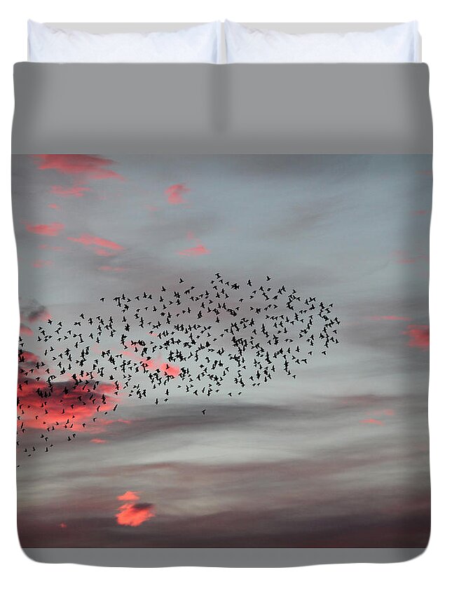 Abstract Photography Duvet Cover featuring the photograph Morning Stretch by E Faithe Lester