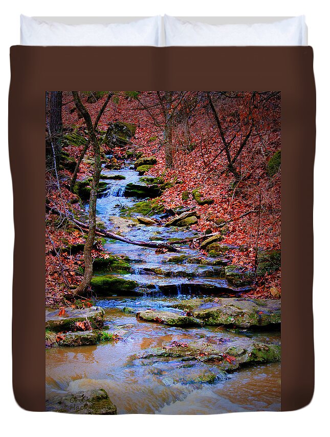 Moss Duvet Cover featuring the photograph Mossy Creek by Cricket Hackmann