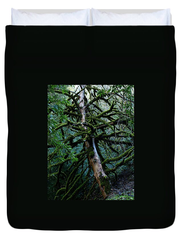 Mossy Tree Duvet Cover featuring the photograph Mossy Tree by Ernest Echols