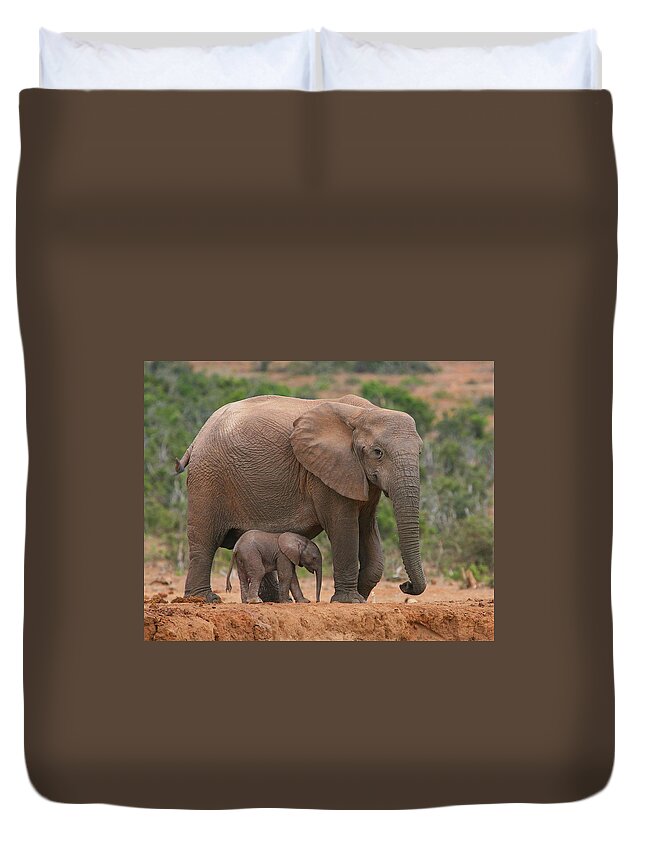 Elephant Duvet Cover featuring the photograph Mother and Calf by Bruce J Robinson