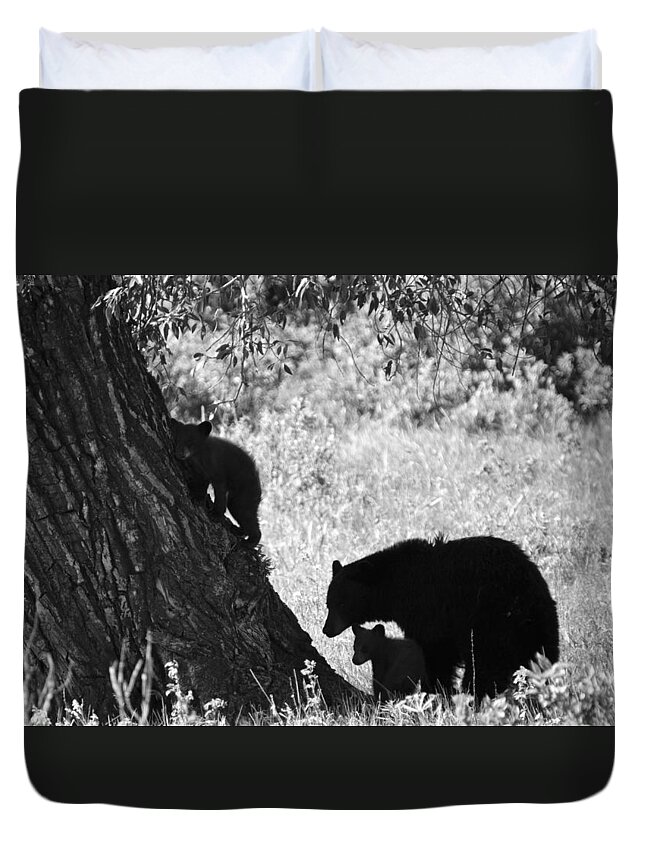 Black Bear Duvet Cover featuring the photograph Mother Black Bear with Two Cubs by Crystal Wightman
