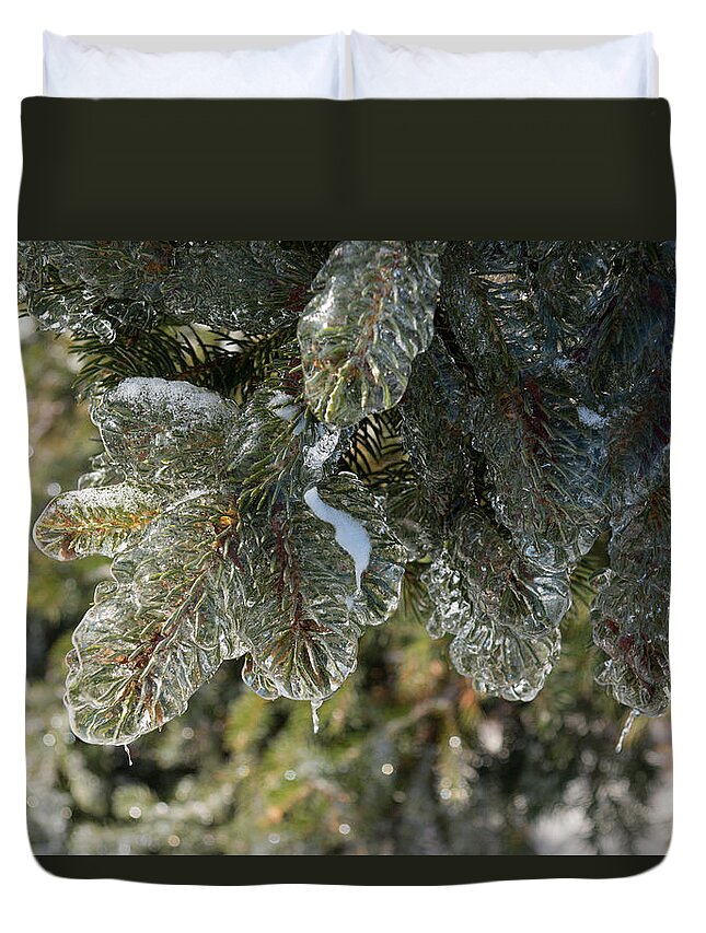 Pine Duvet Cover featuring the photograph Mother Nature's Christmas Decorations - Pine Tree Branches by Georgia Mizuleva