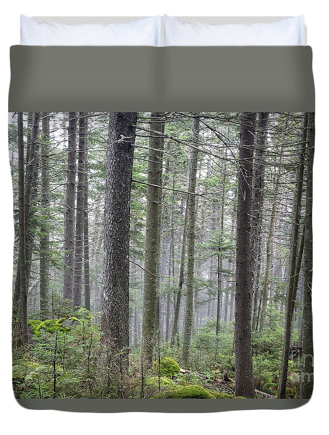 Ecosystem Duvet Cover featuring the photograph Mount Jim - Kinsman Notch New Hampshire by Erin Paul Donovan
