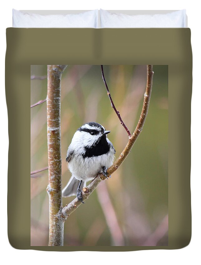 Chickadee Duvet Cover featuring the photograph Mountain Chickadee by Shane Bechler