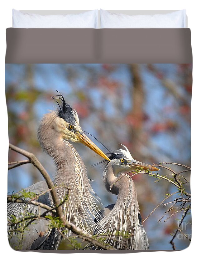 Heron Duvet Cover featuring the photograph Mr. And Mrs. by Kathy Baccari