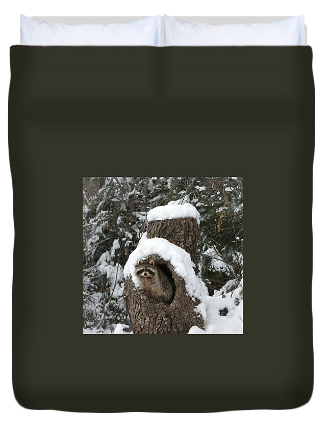 Raccoon Duvet Cover featuring the photograph Mr. Raccoon by Diane Bohna