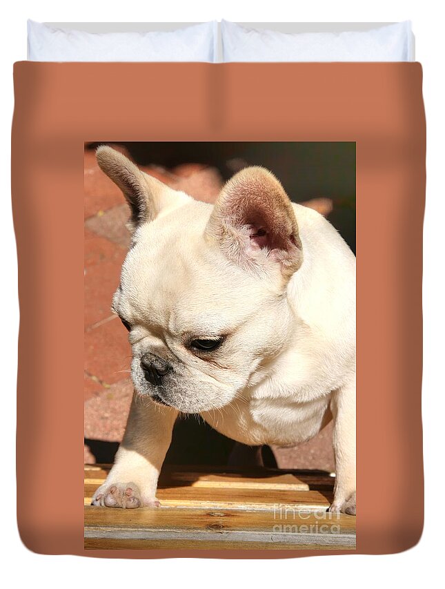 Ms Duvet Cover featuring the photograph French Bulldog Ms Quiggly by Tap On Photo