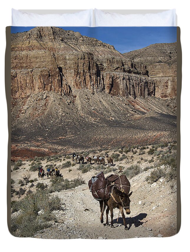 Grand Canyon Duvet Cover featuring the photograph Mule Pack Train, Grand Canyon by Mark Newman