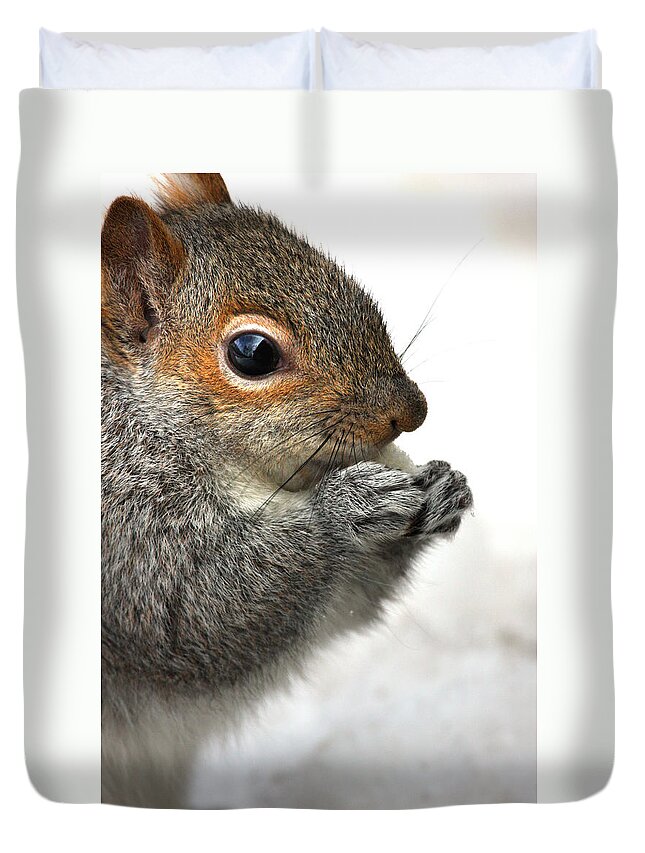 Squirrel Duvet Cover featuring the photograph Munching by Karol Livote
