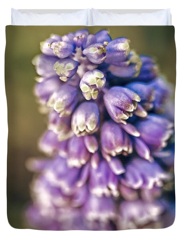 Muscari Duvet Cover featuring the photograph Muscari by Caitlyn Grasso