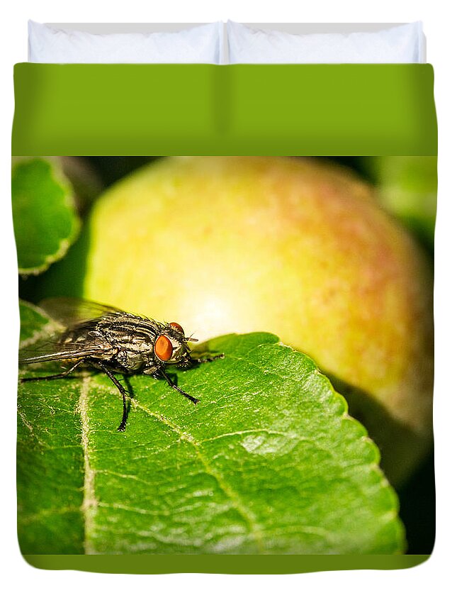 Muscoid Duvet Cover featuring the photograph Muscoid Fly and Fruit by Douglas Barnett