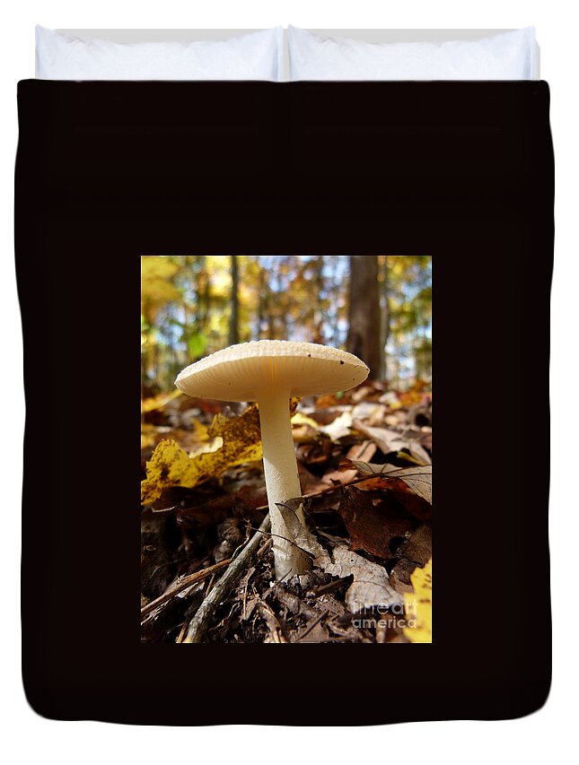 Jane Ford Duvet Cover featuring the photograph Mushroom At Walney by Jane Ford