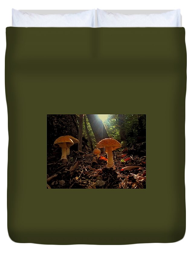 Mushrooms Duvet Cover featuring the photograph Mushroom Morning by Gary Blackman