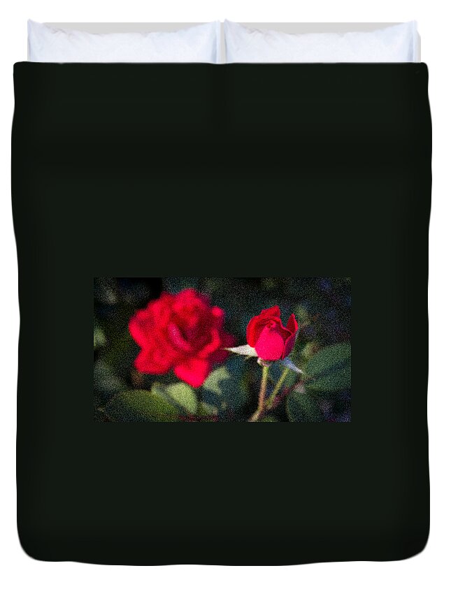 Rose Duvet Cover featuring the photograph Muted Beauty by Tim Stanley